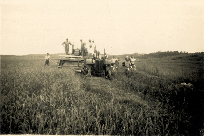 Lavoura antiga