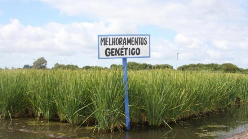 Melhoramento