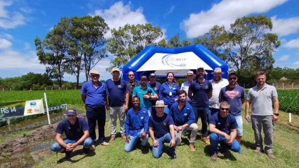 Manh&atilde; de Campo em Santa Vit&oacute;ria do Palmar  